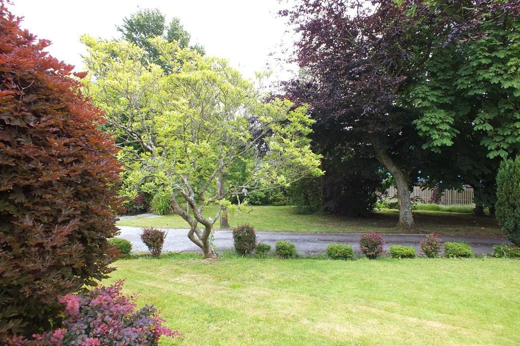 Llwyn Country House Llanelli Exterior foto